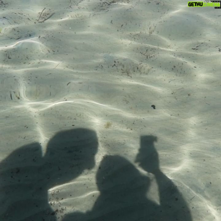 Victoria Mehault - 179.2K Likes - L’amour à la plage avec mon top model magnifique que j’aime🤍🌊🏝️🐚 par contre mon rire niais sur la dernière vidéo je fou la mort