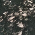 Victoria Volkova Instagram – abril, ojalá instagram me dejara subir más de 10 fotos. estuviste intensísimo, para bien y para mal. pero gracias por dejarme sentirlo todo. por los eclipses que me dejaron cerrar la puerta al pasado, por poder estar viva en los cumpleaños de mis personas mas amadas, por los viajes y por poder ver a @madonna (tres veces). por tener a personas que me quieren bonito y por el amor y las risas que llegaron de la forma menos esperada 🙂‍↕️❤️‍🔥