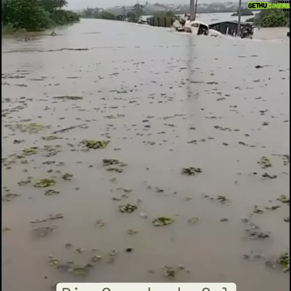 Virgínia Wanderley Instagram - O Rio Grande do Sul precisa de ajuda! São dias de chuva, que causaram uma verdadeira calamidade, eu tô muito triste e mexida com tantas cenas de destruição, é desesperador ver o estado em baixo d’água, famílias que perderam tudo e infelizmente o número de fatalidades só cresce. Vamos ajudar! Precisamos de todos, de voluntários, de alimentos, água potável, ajude como puder! ( infos no meu stories ) Pix: pessoalwn@gmail.com