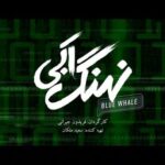 Vishka Asayesh Instagram - همیشه از ابتدا شروع کن! قسمت آخر نهنگ آبى امروز منتشر شد. #نهنگ_آبی