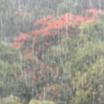 Vitória Falcão Instagram - é uma chuvaida, uma foto dum livro e depois a voz na sua cara, umas arrumação de natação, o nome da minha casa, uma fritura boa, um sorriso que abre a vida, um monte de coisa nessa cidade doida cheia de surpresa, mas nada NADA justifica jaja ser abril. corre nnn pra tu v