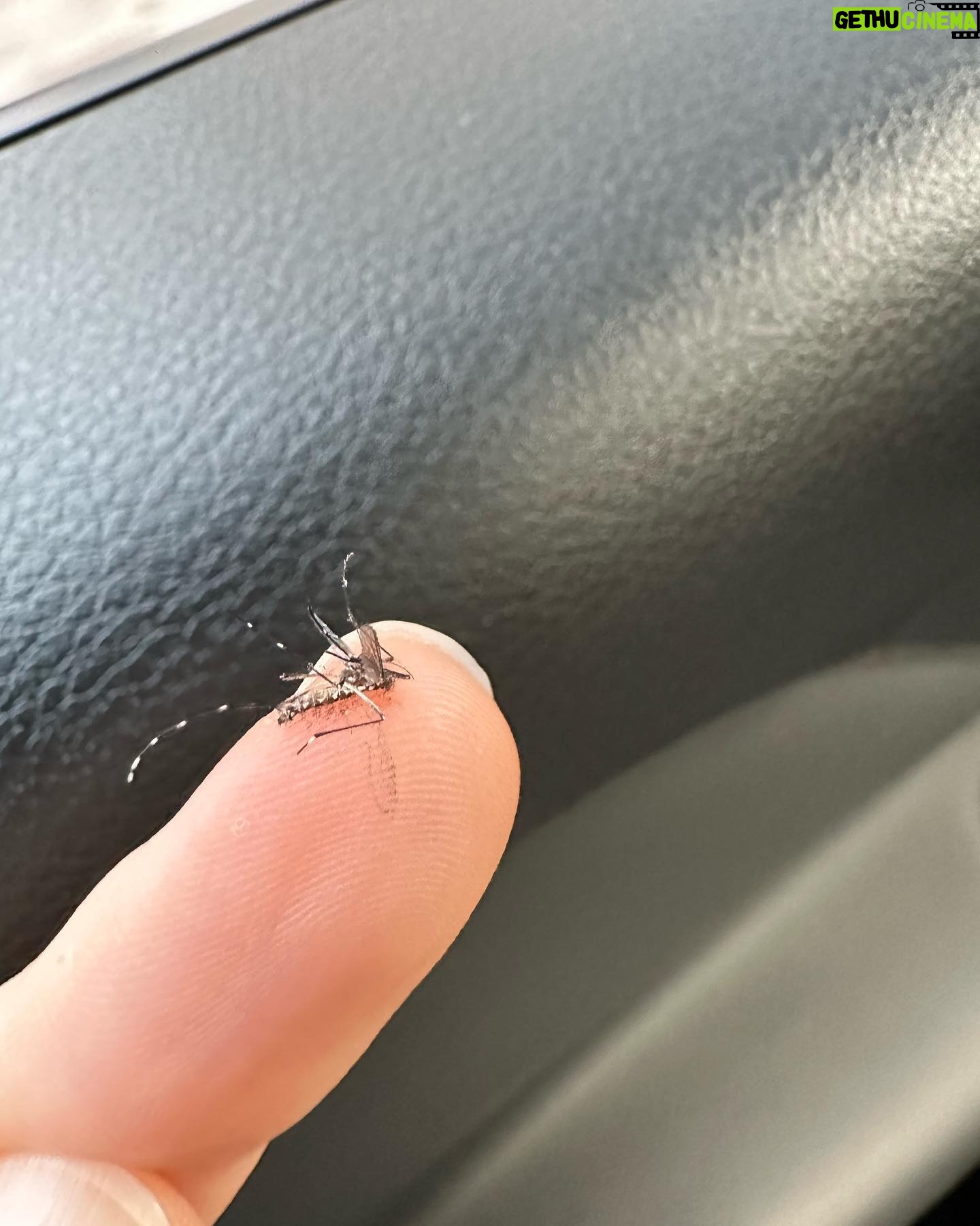 Vitória Falcão Instagram - ai ai, são paulo (e uma fuga rapidinha em goiânia). esse é um apanhado dos últimos dias. bem no aleatório mesmo. dos encontros cheios de amor a um muquitin q queria me pegar e sem querer eu peguei ele. tomara que eu lembre q dia foi esse da foto da sombra. tomara que a vida esteja viva por aí, com o exercício da coragem, delícias de milho, sem dengue, skincare em dia, dando tempo pra quem vc ama……. vejo uns por aí na última foto. aqui em sp, bh e rio. sou aleatória sempre, eu sei. mas hoje eu tou totalmente totalmente. tchau