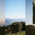 Vitória Falcão Instagram - encontrar diferentes respostas pras mesmas perguntas ao virar uma curva ver outras entradas de luz contar curvas montanhosas ao invés de prédios num skyline ver a cara de bichos que não sei o nome mas sei quem são imaginar tudo que vejo aqui, existindo do outro lado . como a fundação de um edifício, ou raízes de uma árvore o que seria a raiz de uma cachoeira?