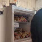 Vitória Falcão Instagram - (2) já vivi tanta vida esses dias vi dois arco íris olhos nos olhos atentos e curiosos do um ano de ceci pneu furado muito mar muito rio tanta água choros dos bonitos e dos doloridos o frio e o calor o voo suado do bem-te-vi contra o vento temperaturas também das minhas pequenices observar a métrica do meu corpo que dá encaixe ao outro, ter sensibilidade pra saber do outro em mim. estar na vida fora de minha cabeça, deixar o mundo ser minha casa.