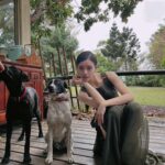 Vivian Sung Instagram – 雞飛狗跳的一天 🐶🐔