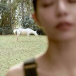 Vivian Sung Instagram - #BellaStar 首次挑戰用全英語演出法國電影《榮耀之路》，宋芸樺為戲迷帶來無限的驚喜與感動，分享到這個令她印象深刻的經驗，她說：「在拍攝榮耀之路時，因為劇組、演員都是法國人，所以都是用法文在溝通，但讓我驚訝的是即使不用透過翻譯，我也能從肢體語言感受到導演心中的想像，有些事情是不需要透過語言來理解，而是透過情緒、動作來感受。」 或許是當溝通的媒介轉變了，能感受到的東西也有所不同，有時反而會得到更細膩且更有張力的對話。 監製｜Toby Hsu @tobyotron 造型｜Chun Chao @thechaochun 攝影｜Zhou Chuan @_zhou_chuan 影音｜Lia Lee @sian.1 撰文｜Andie Shih 化妝｜Claire @clairechengmakeup @21caratmakeup 髮型｜威奇 @80s_ares @80sstudio 協力｜Christine Lin @christiniful 服裝｜Max Mara @maxmara #Bellataiwan #Bella儂儂 #做自己最時尚 #請按追蹤關注儂儂 #maxmara #宋芸樺