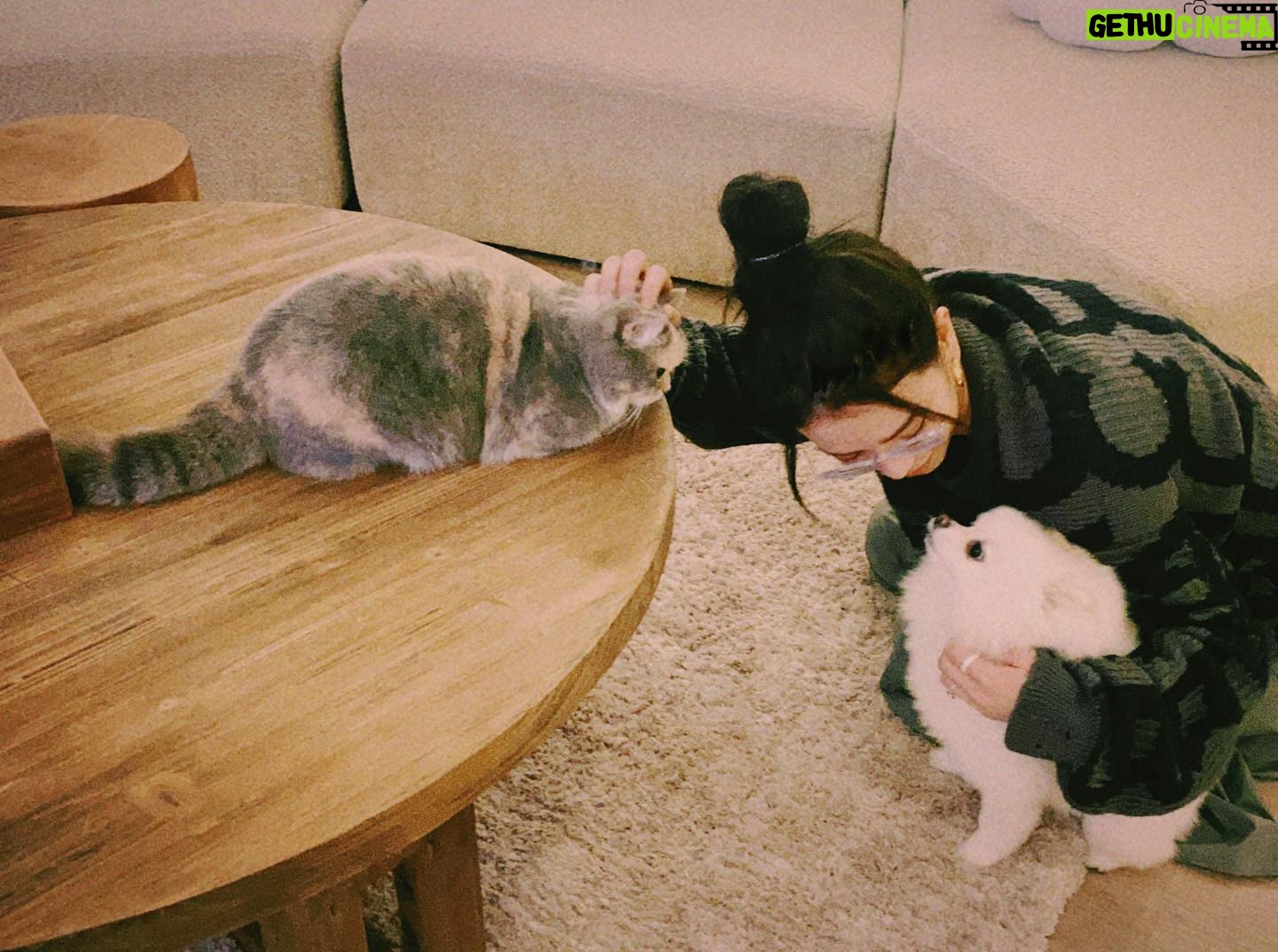 Vivian Sung Instagram - 沒發文的日子,都在被寵愛 💕 (˶‾᷄ ⁻̫ ‾᷅˵)