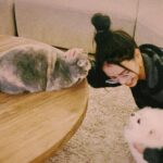 Vivian Sung Instagram - 沒發文的日子，都在被寵愛 💕 (˶‾᷄ ⁻̫ ‾᷅˵)