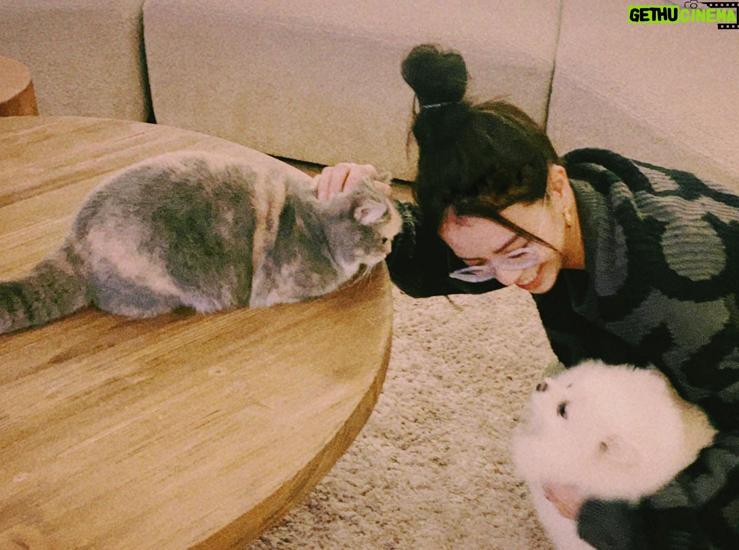 Vivian Sung Instagram - 沒發文的日子,都在被寵愛 💕 (˶‾᷄ ⁻̫ ‾᷅˵)