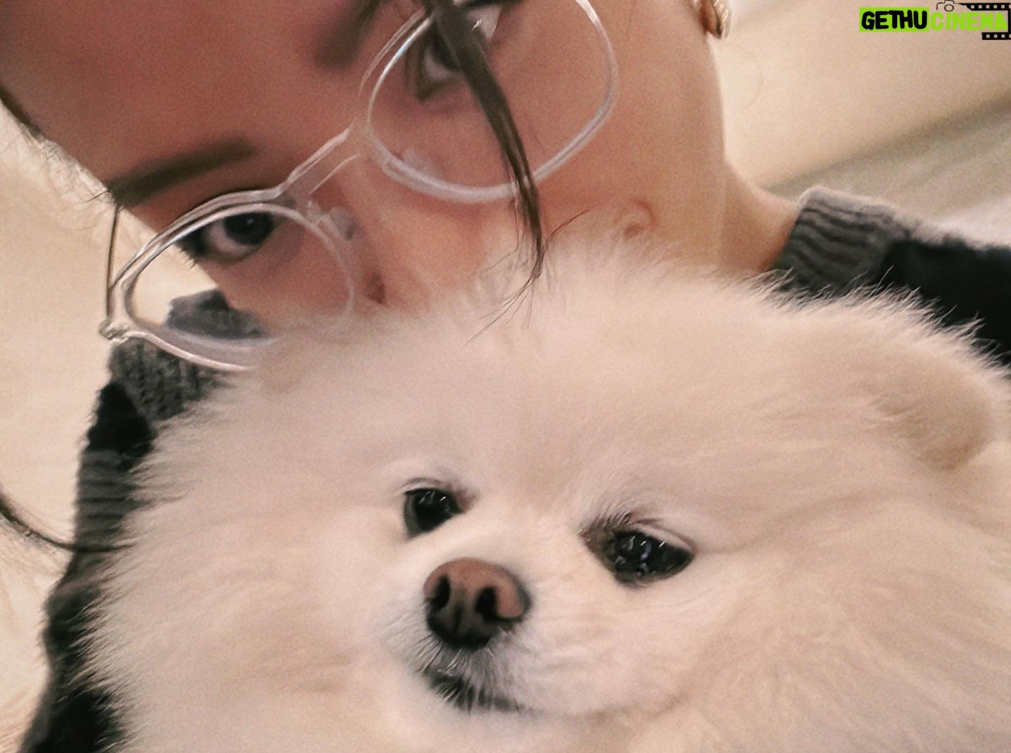 Vivian Sung Instagram - 沒發文的日子,都在被寵愛 💕 (˶‾᷄ ⁻̫ ‾᷅˵)