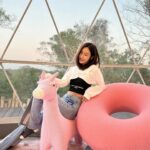 Wan-Ting Tseng Instagram - 真的很#chill