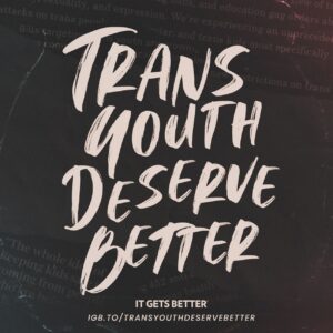 Wanda Sykes Instagram - On Trans Day of Visibility, let’s lift up our trans and non-binary youth everywhere. This is a scary time for them as transphobia and violence against them goes unchanged. I continue to speak out against hate and that includes rebuking anti-trans laws that targets them directly and threatens their very livelihood. We must stand by them as allies. I am sharing a link to help you do just that in my stories. #tdov