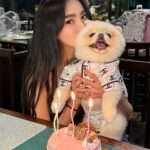 Wanida Termthanaporn Instagram - My boy turned 4 today 🤗🎉 🎂 🐶 มามี๊ขอให้หนูเป็นเด็กดี ไม่กัดคน ไม่ดุร้าย และมีสุขภาพแข็งแรงนะคับ มามี๊รัก NonNon ที่สุดในโลกกกก ❤️🤱🏻 #ลูกในไส้ #ลูกแท้แท้ #คลอดมาเอง