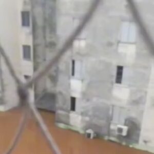 Whindersson Nunes Instagram - ‼️Desenvolvemos uma solução usando a física pra ajudar na organização no resgate. 
Eu e o @gildariolima desenvolvemos um modelo 3D, podendo ser imprimido em qualquer lugar do Brasil e enviado para o pessoal no Rio Grande do Sul, o modelo imprimido usa 8 garrafas pet de maneira rosqueada, circuladas com uma silvertape sustentam 1 pessoas, e 4 (com 8/1 garrafas por modelo) fazem um cavalo de 500kg flutuar na água, ideias pra situações como essa triste do vídeo do cavalo isolado. E ajuda a manter os helicópteros ocupados com comida e água pras pessoas esperando por resgate. 
4 drones que suportam 10kg cada vão começar a operar nessa madrugada entregando comida pras pessoas dos prédios, por favor nao atrapalhe essa operação, mantenham-se seguros e salvos o máximo possível! ‼️
📠 MODELO 3D DISPONÍVEL NA BIO, endereço pra envio logo mais nas minhas redes e de amigos