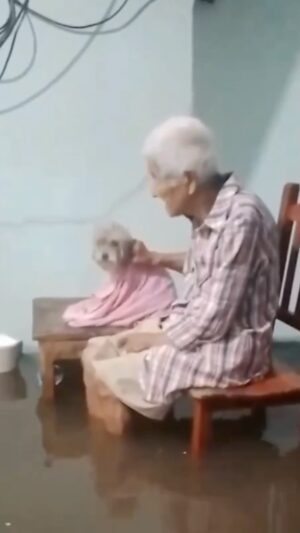 Whindersson Nunes Instagram - Hoje de manhã lembrei de um restaurante flutuante no rio que corta o Piauí com o Maranhão, em Floriano. Pode ser uma solução rápida pras pessoas em cima de telhados, resgatas animais sendo levados pela correnteza. Ser usado como ponto de entrega de resgatado e voltar pra buscar mais. Vamos mandar para cidades mais alagadas, eles são montáveis e desmontáveis, acho que seria uma boa espalhando alguns desses ancorados em pontos centras de resgate!
A água sobe, ele sobe, ela desce, ele desce. 
‼️ se você tem coletes como esses, adulto e infantil, entre em contato pelo e-mail pessoalwn@gmail.com nos mande! ‼️ 
(Vou passar todas as informações pra defesa civil pra tudo ser feito com segurança)