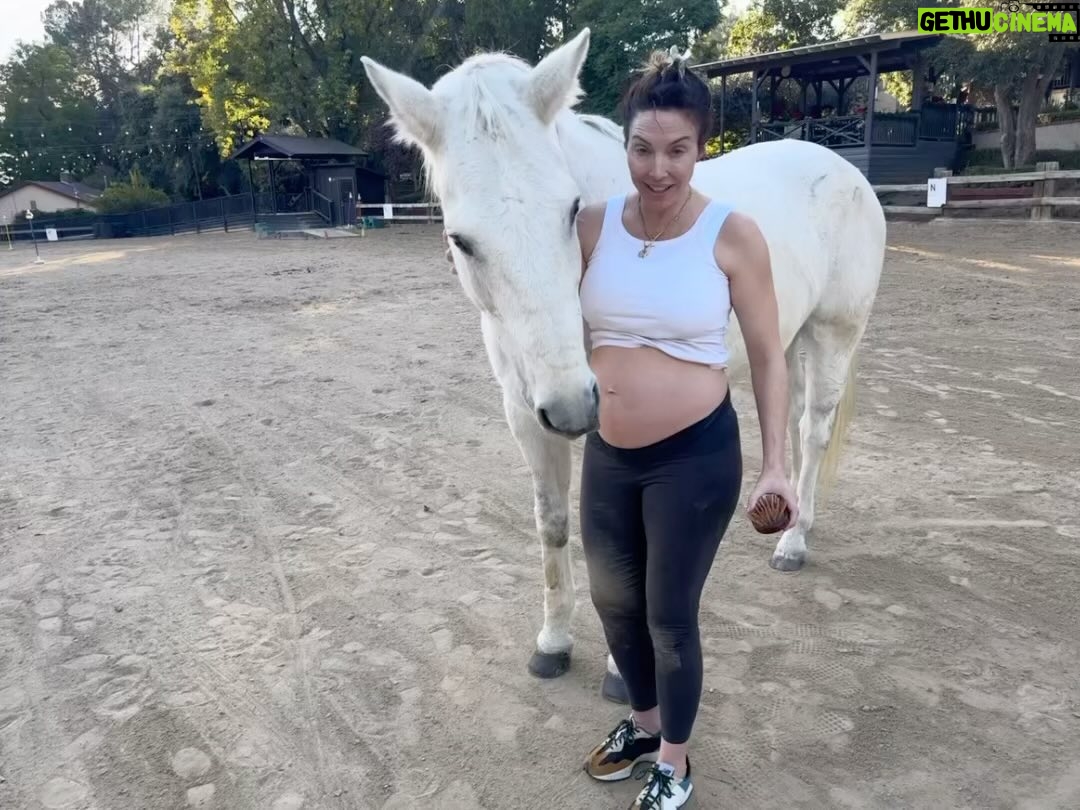 Whitney Cummings Instagram - My horse wants this baby out as much as yall do