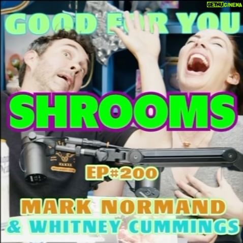 Whitney Cummings Instagram - Are mushrooms really as magical as everyone thinks? Pod with @marknormand is OUT π (I talk about the manic episode I got from doing mushrooms during a grief spell in Jan on next weeks pod w @drdrewafterdark so mushroom people donβt come for me yet π)