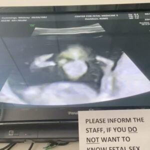 Whitney Cummings Instagram - My kid is already doing bits GREAT