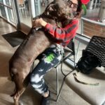 Whitney Cummings Instagram – Ya’lls dogs wait to go into the vet like this too yeah
