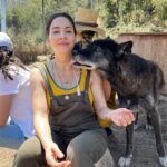 Whitney Cummings Instagram – Thank you @wolfconnection for the wolfie time 🐺 cc: @mirandacosgrove @hannahstocking