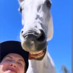 Whitney Cummings Instagram - Here’s a break from crowd work clips