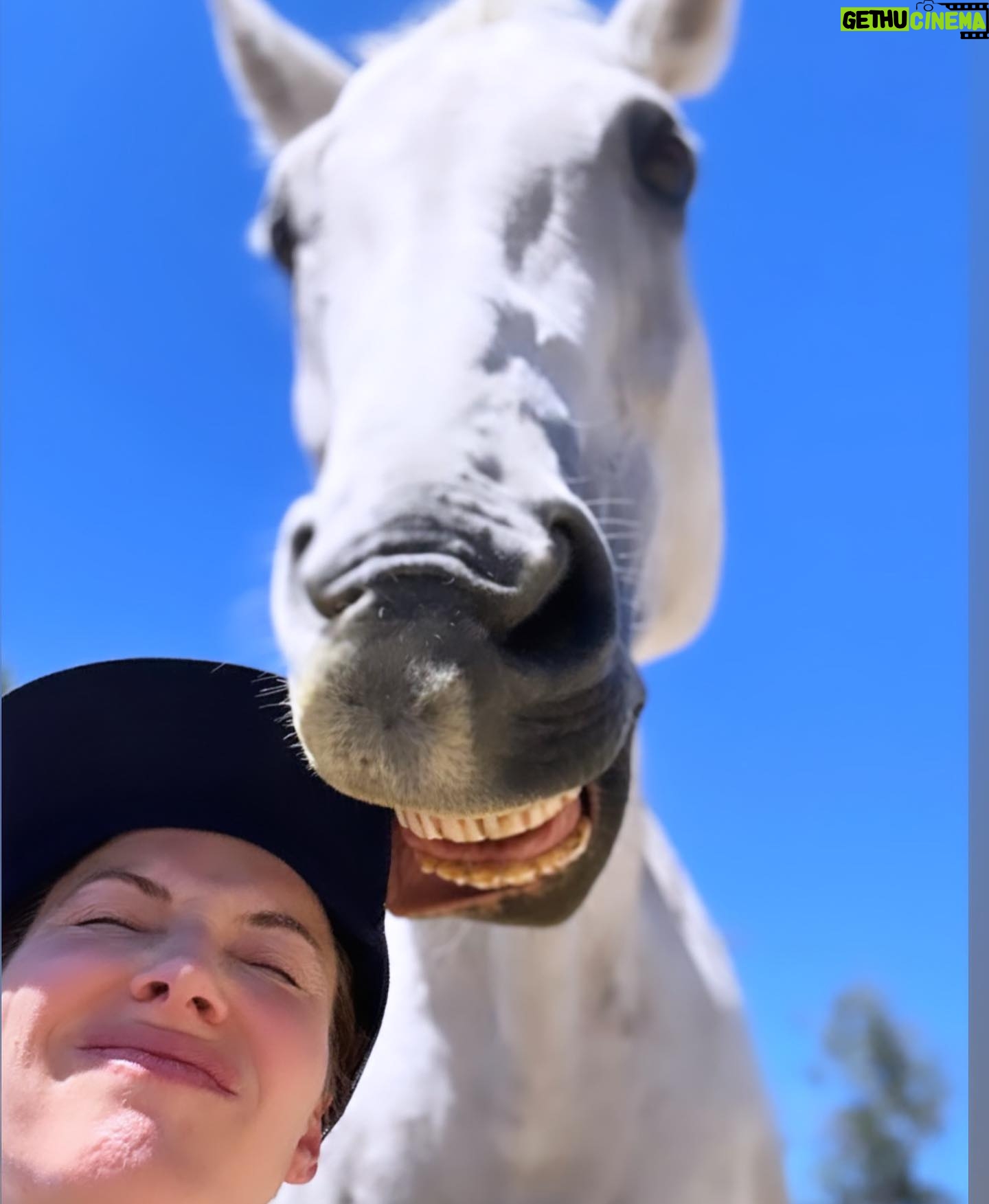 Whitney Cummings Instagram - Here’s a break from crowd work clips
