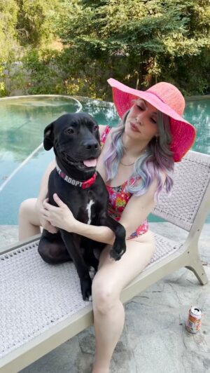 Whitney Cummings Instagram - Watch @whitneycummings reunite with her foster pittie 💛 (🎥: @adventuresmagicponyadndblue, @iloverescue, @istandwithmypack)