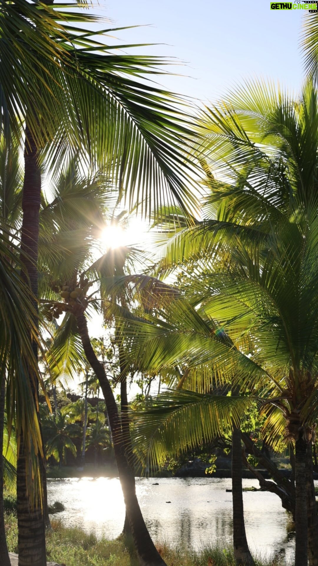 Whitney Port Instagram - 72 Hours in… Hawai’i with @whitneyeveport at @maunalaniauberge A spring break getaway to the sacred oasis on the Kohala Coast was equal parts relaxation and adventure for the fashion entrepreneur and her family. “Mauna Lani was love at first sight! From the stunning architecture to the Hawaiian breeze and all the fresh fruit and fish… It was so kid-friendly, too. Timmy and I felt relaxed every day by the pool knowing Sonny was having fun!” To read Whitney’s full guide to the treasured paradise, comment “Aloha” below. #AlwaysAuberge