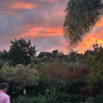 Whitney Port Instagram - Cousin sleepover means taking 3 kids to the zoo, jacuzzing at sunset and a lot of wine for me and Timmy 🫠 Also spent the weekend doing a little redecorating, we got our new couch from @sixpennyhome and have sooooo much to move around and get but we’re getting started! More to come.