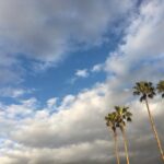 Willa Holland Instagram - are we there yet @natewalton3