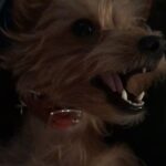Willa Holland Instagram - she's drunk