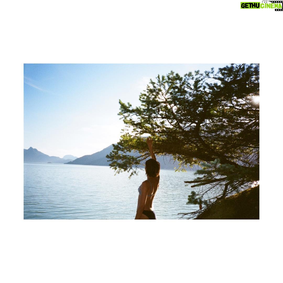 Willa Holland Instagram - natural habitat by yelchin