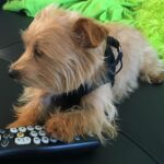Willa Holland Instagram - finds save the last dance on starz and just can't #billiewalton