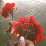 Willa Holland Instagram – we wouldn’t be here if it wasn’t for you 
thank you 
#cg143