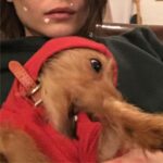 Willa Holland Instagram - 🚫shame