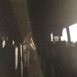 Willa Holland Instagram -
