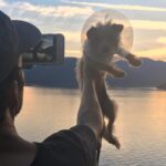 Willa Holland Instagram -