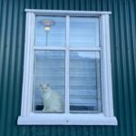 Willow Shields Instagram - Iceland: the trip of a lifetime where nothing went to plan and yet everything was amazing. Travel is always a great reminder of being a malleable human and able to enjoy the little things without expectation.
