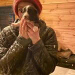 Willow Shields Instagram - First 48 hours in Iceland• stuck in a horrible blizzard, took us over 6 hours to dig ourselves out, learned to use tractors, got shocked by an electric gate, slipped on the ice, and only ate a bag of chips and soup. But also met 3 week old puppies, beautiful horses, and wonderful people. 🫶🏻