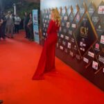 Wilma Elles Instagram - Critic's Choice Awards India 2024 @criticschoiceindia #nitinnanda @ajlinadrovic @nn_79_kr 🔵 #Mumbai #Bollywood Congratulations to @vikrantmassey on winning the Best Actor Award Dress by @gozdeisbilirrr 🧿