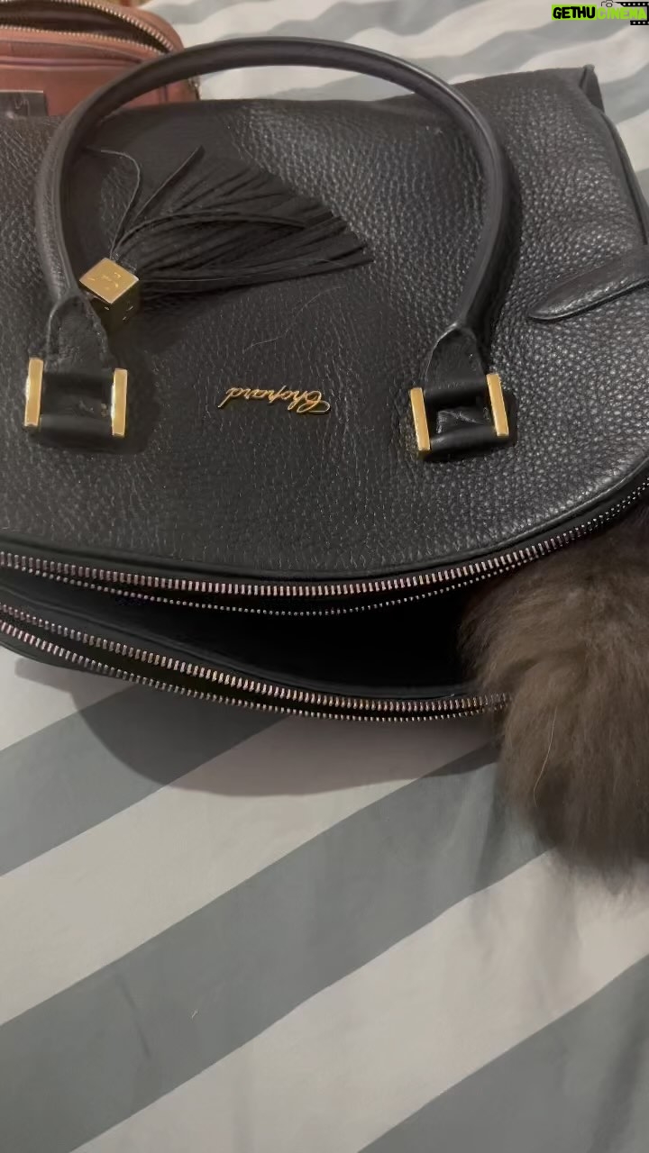 Ximena C贸rdoba Instagram - C贸mo la amo 馃グ siempre se mete en mis carteras !!! Les pasa lo mismo