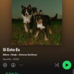 Ximena Sariñana Instagram - Una hermosa canción que empezamos hace más de un año por fin está afuera!! 🥲 Cuando @nsqkk y yo conocimos a @ximenamusic no nos imaginamos que un año después estaríamos haciendo algo tan bonito!! Fue un gusto conocernos cuando estrenamos Braille y un gusto mucho más grande poder juntarnos para hacer una canción así de bella 🫶🏼 Gracias a todos los que participaron, fue un proceso increíble desde conocernos hasta grabar un video con los perros más bonitos 🤍🐕🐕 Hoy esta canción ya es suya, que la disfruten! Si Esto Es.