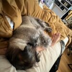 Xolo Mariduena Instagram - Amores Perros.