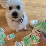 Xolo Mariduena Instagram - Amores Perros.