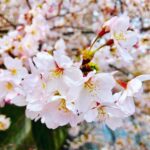 Yûko Takeuchi Instagram - ・ #きれいだ