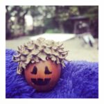Yûko Takeuchi Instagram - ・ #小さい秋みつけた #ハロウィン仕様