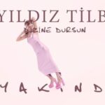 Yıldız Tilbe Instagram -