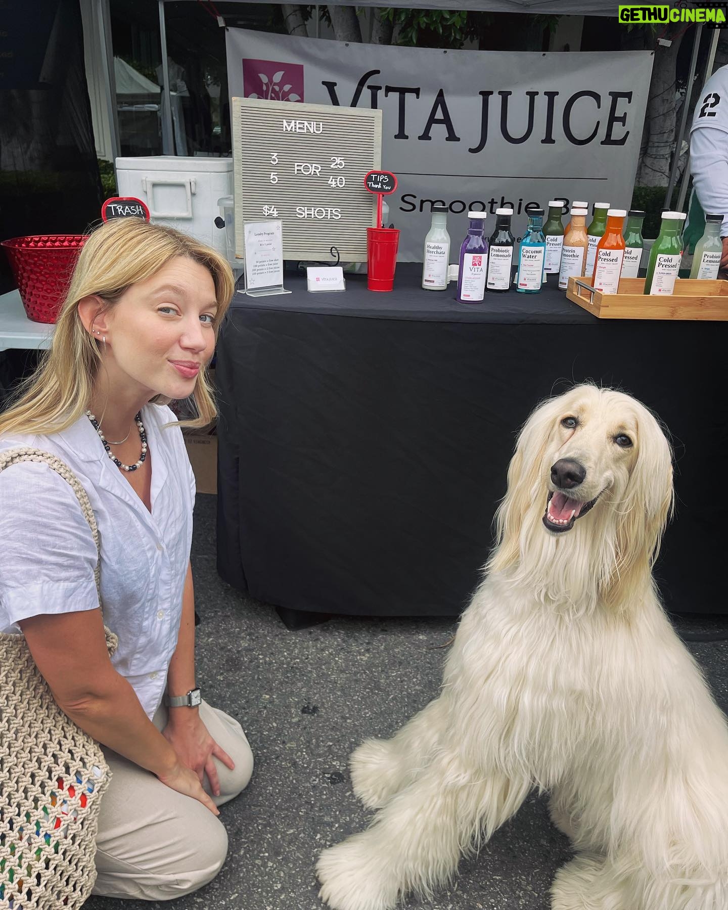 Yael Grobglas - 65.7K Likes - Guys, I found it. Finally. The “me if I was a dog.” Mission complete.
