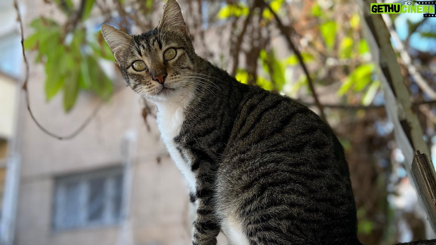 Yael Grobglas - 30.7K Likes - Good morning Tel Aviv!