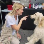 Yael Grobglas Instagram - Guys, I found it. Finally. The “me if I was a dog.” Mission complete.